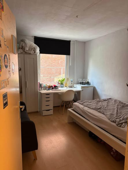 Image accompanying room listing