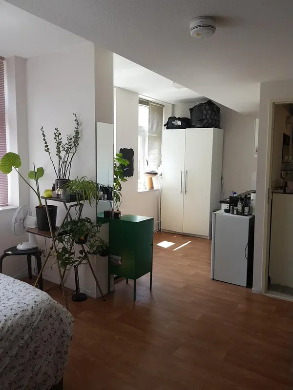 Image accompanying room listing