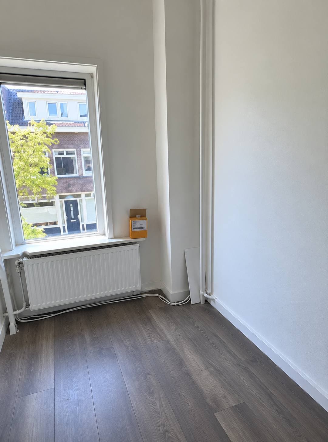 Image accompanying room listing