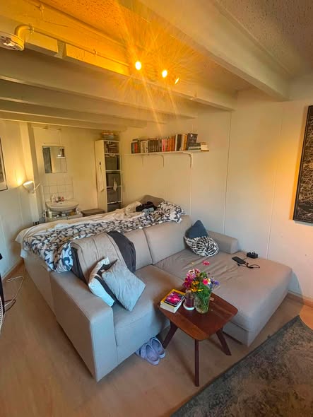 Image accompanying room listing