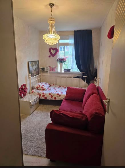 Image accompanying room listing
