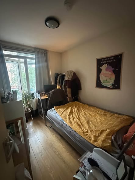 Image accompanying room listing