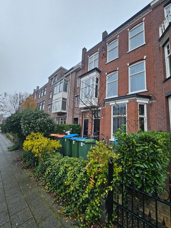 Image accompanying room listing