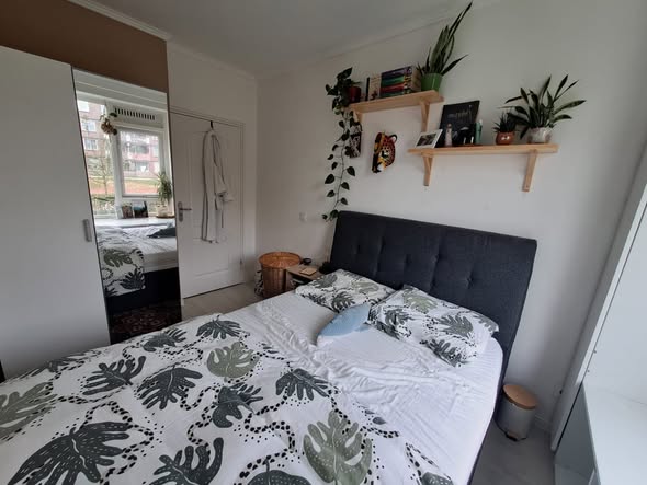Image accompanying room listing