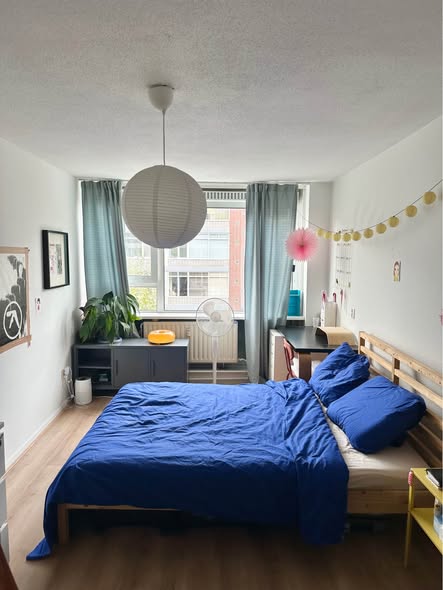 Image accompanying room listing