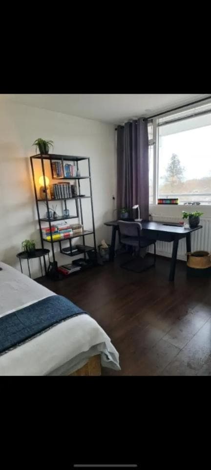 Image accompanying room listing