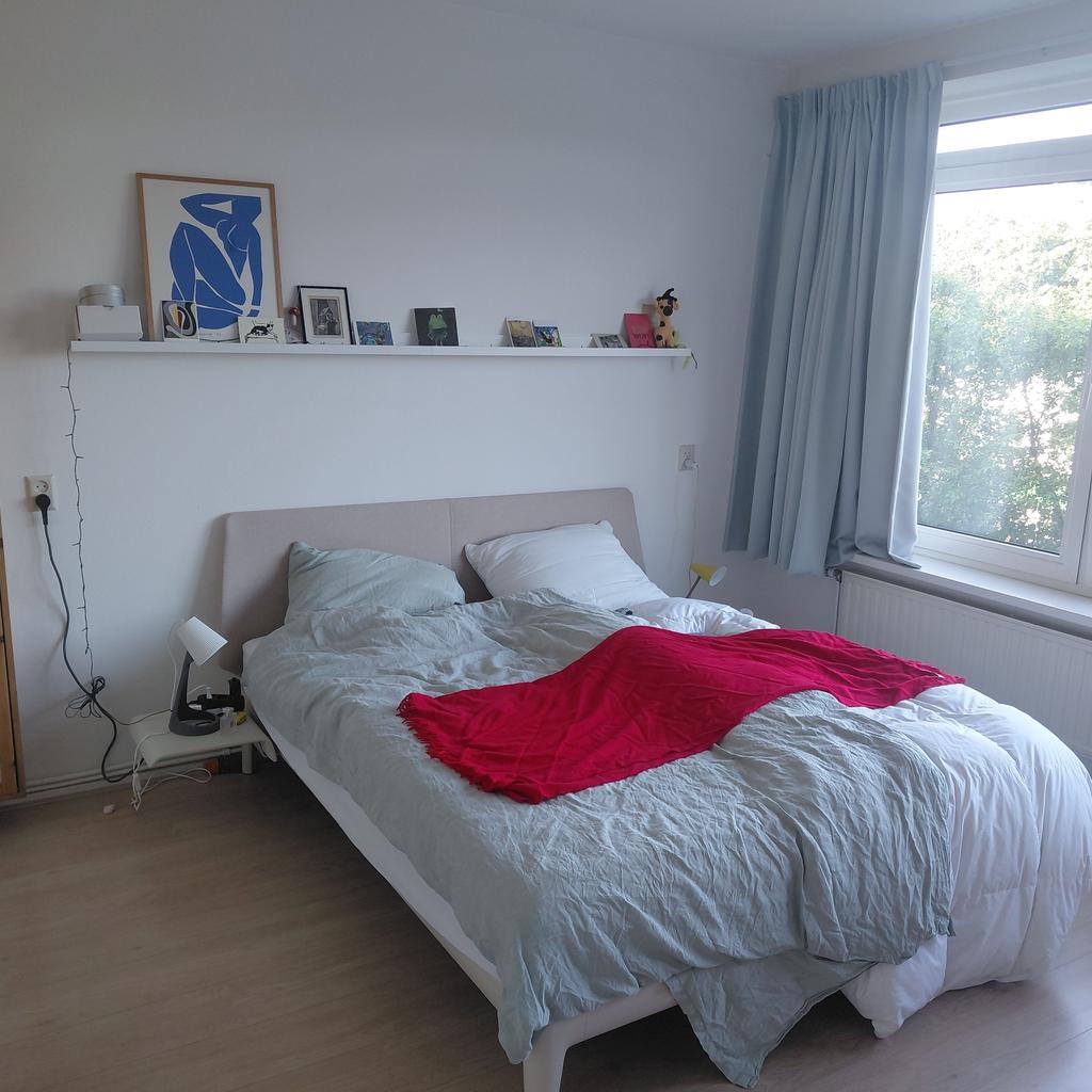 Image accompanying room listing