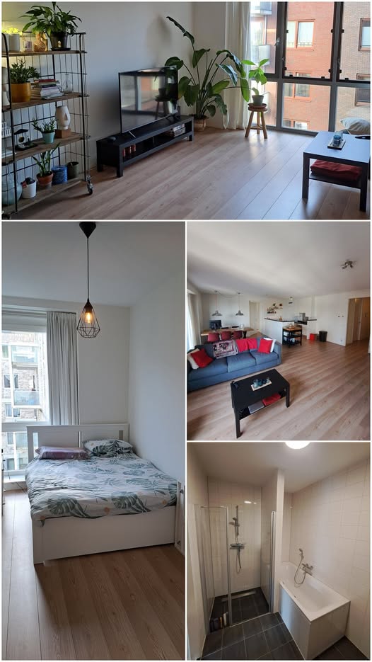 Image accompanying room listing