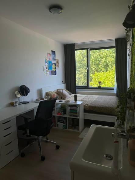 Image accompanying room listing