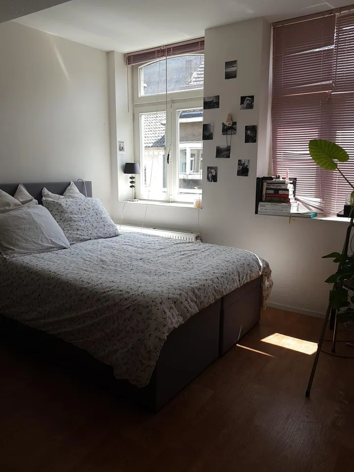 Image accompanying room listing