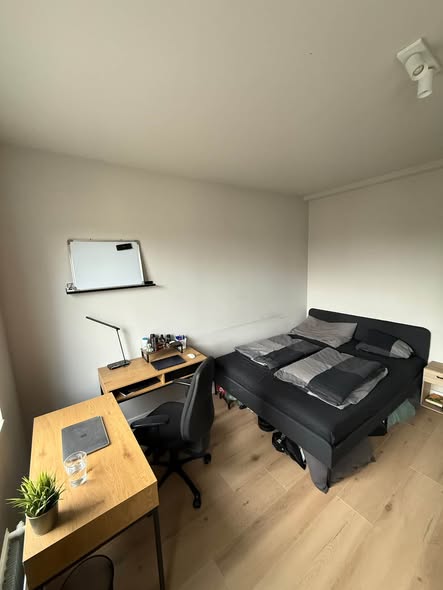 Image accompanying room listing