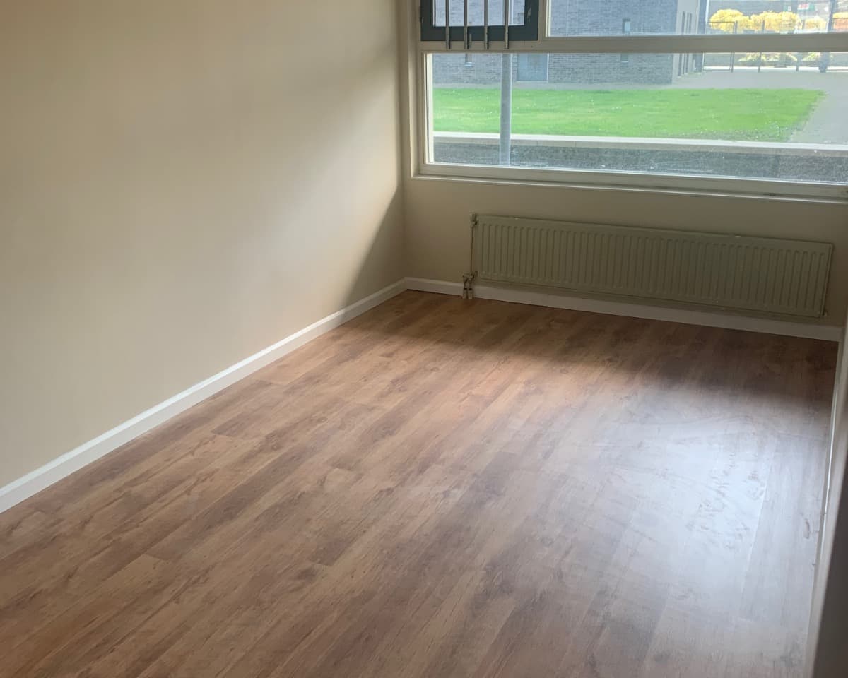 Image accompanying room listing