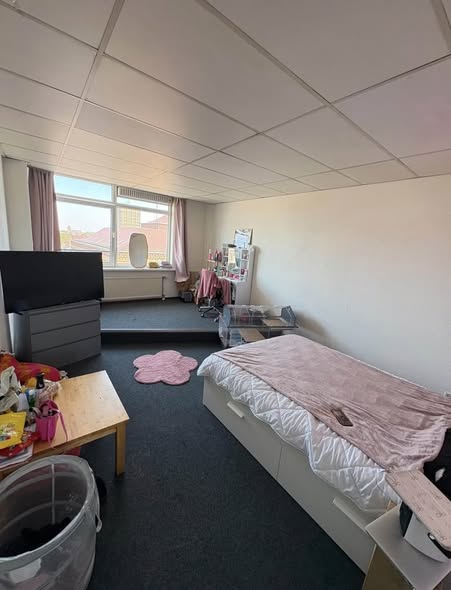 Image accompanying room listing