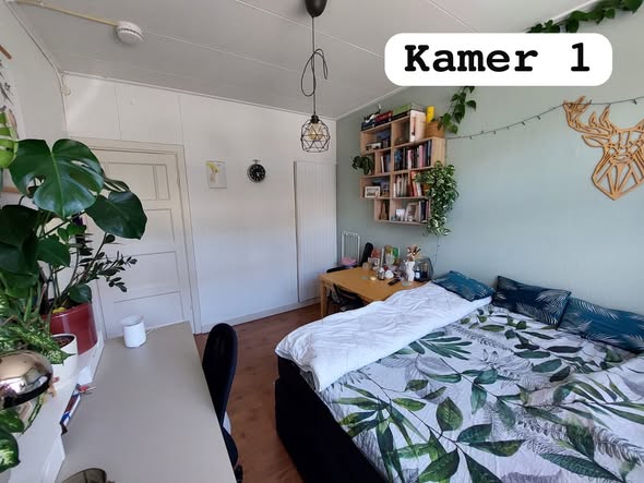 Image accompanying room listing