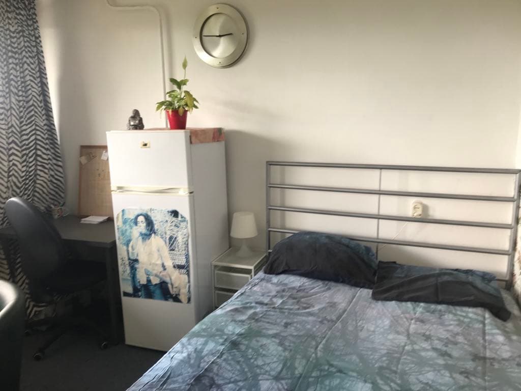 Image accompanying room listing