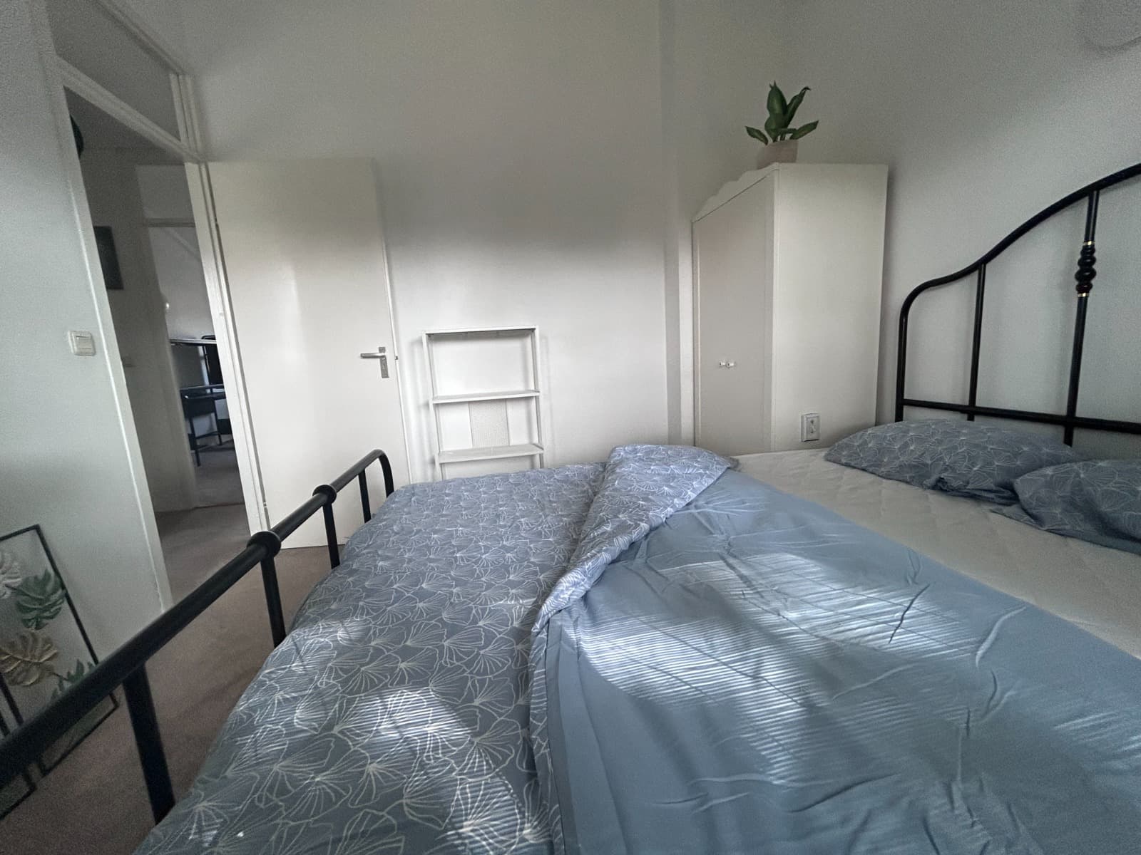 Image accompanying room listing
