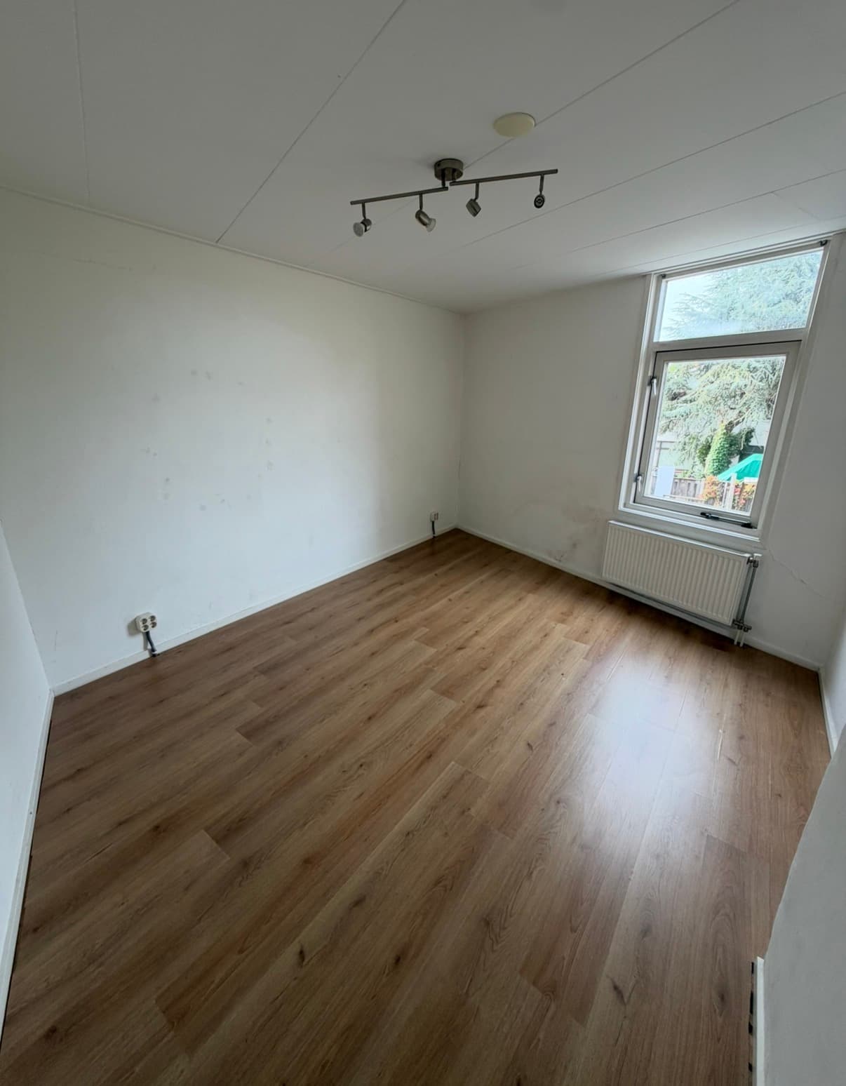 Image accompanying room listing