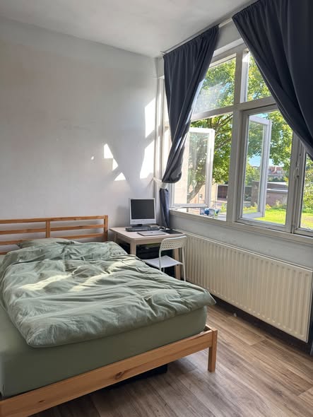 Image accompanying room listing
