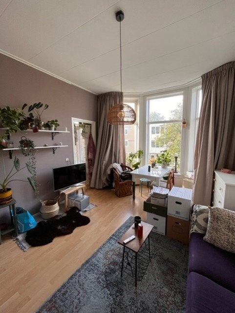 Image accompanying room listing